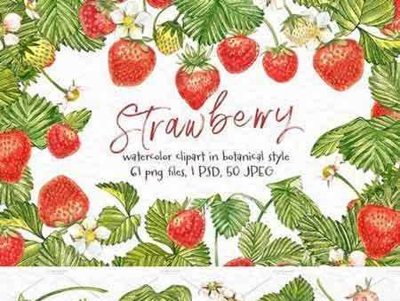 FreePsdVn.com 1801155 STOCK strawberry illustrations 2078355 cover
