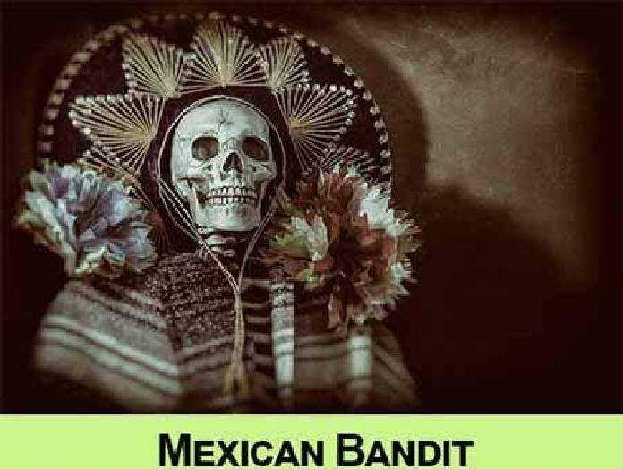 Freepsdvn Com 1442879311 Mexican Bandit 4 Uhq Jpeg Cover