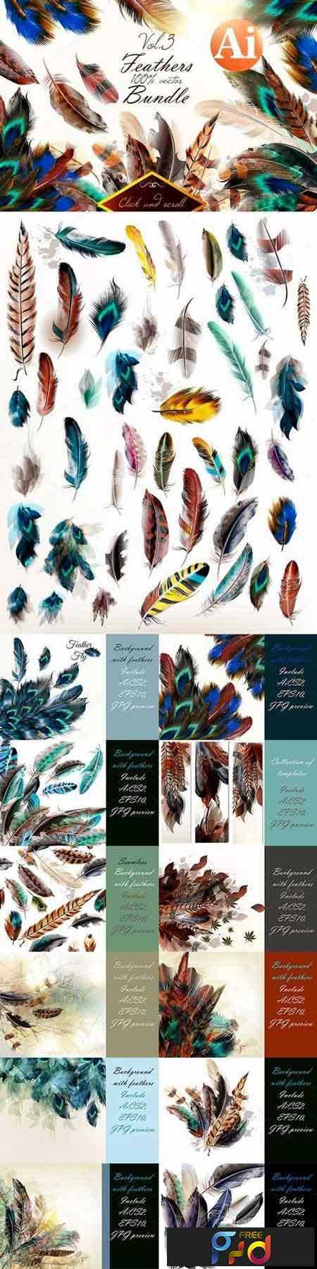 freepsdvn-com_vector_1701043_colorful_feathers_bundle