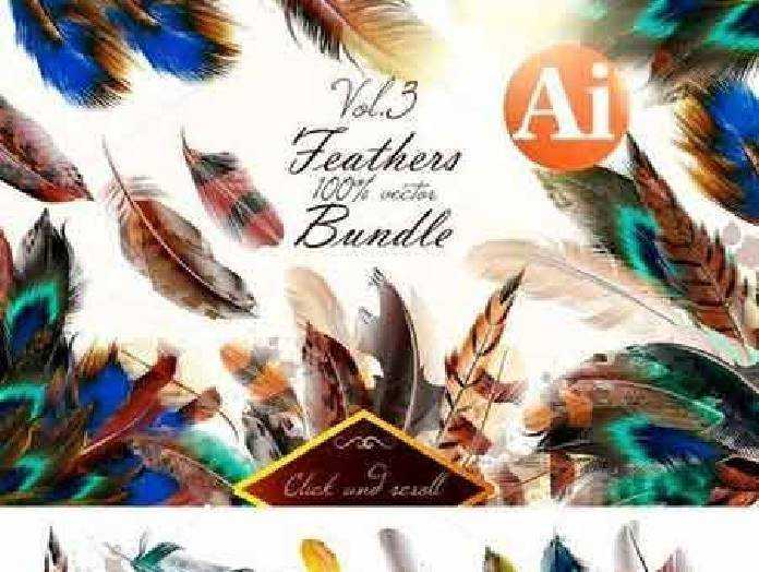 Freepsdvn Com Vector 1701043 Colorful Feathers Bundle Cover