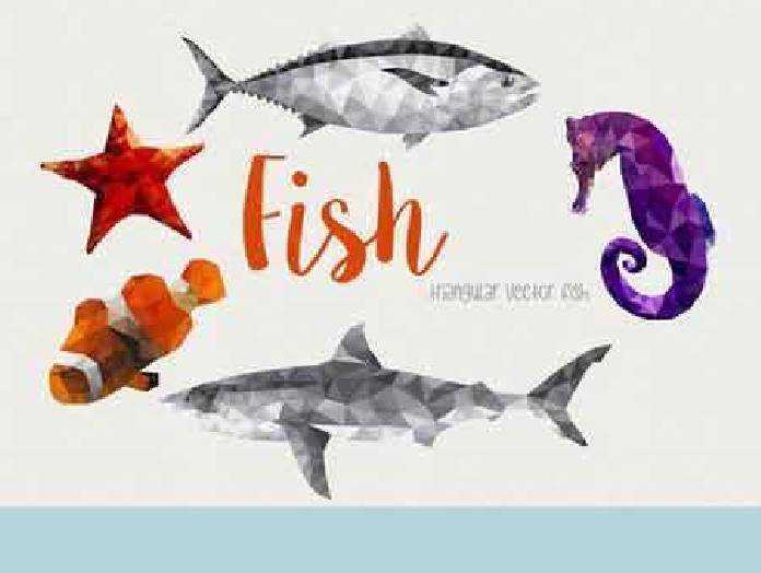 1701071 Fish marine animals 49296
