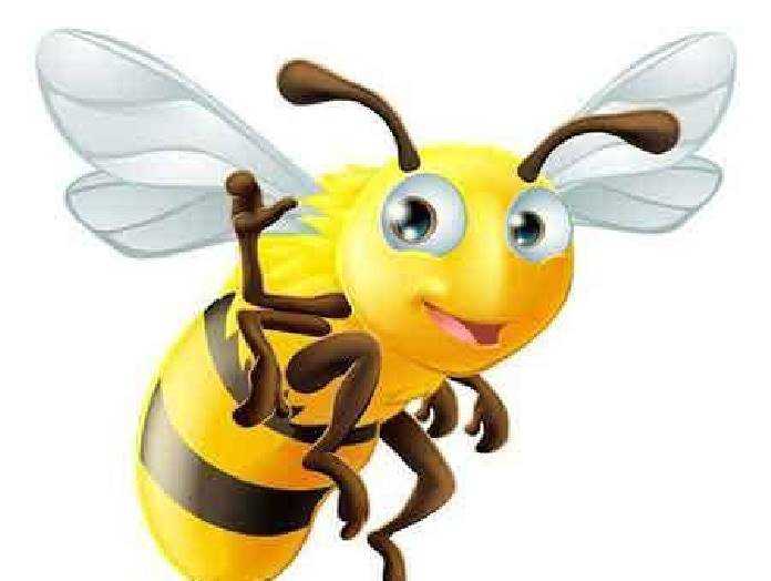 FreePsdVn.com VECTOR 1701096 honey bee 26 vector cover