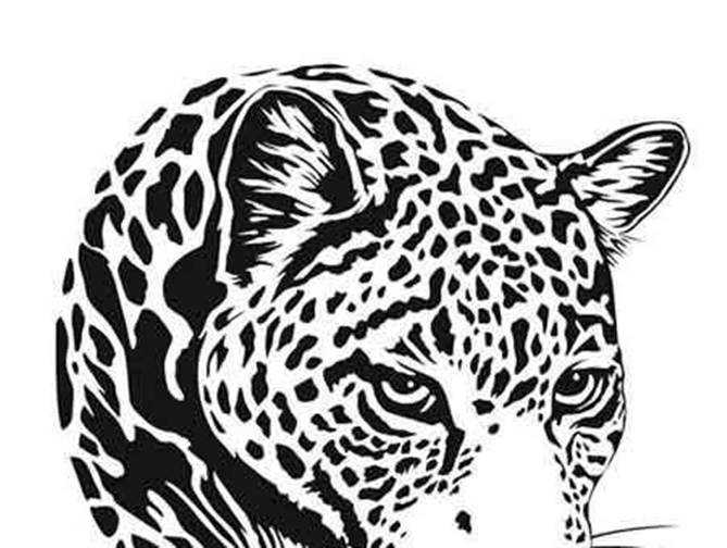 Freepsdvn.com Vector 1701105 Leopard Illustration 9 Eps Cover