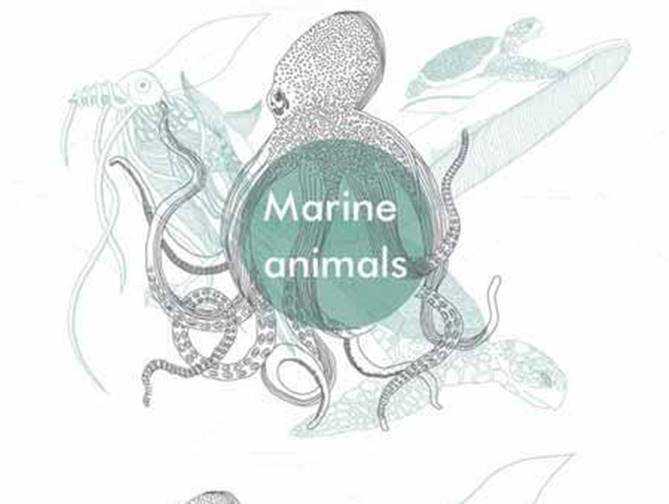 FreePsdVn.com VECTOR 1701114 marine animals cover