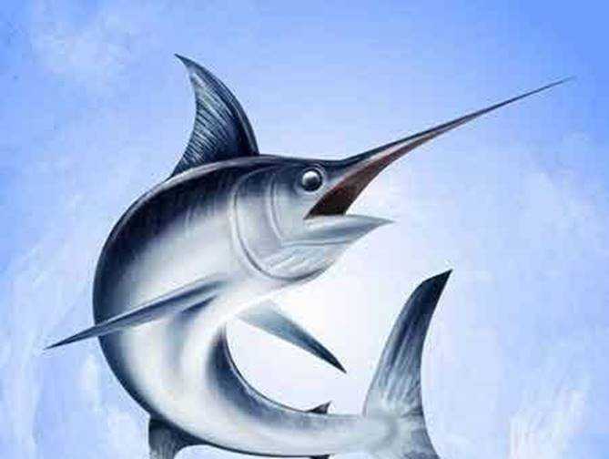 FreePsdVn.com VECTOR 1701115 marlin fish 25 vector cover