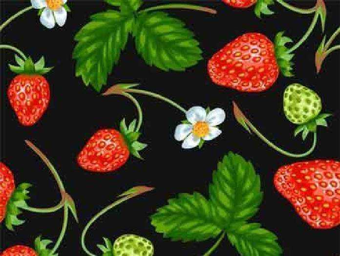 FreePsdVn.com VECTOR 1701149 seamless pattern with red strawberries 18 eps cover