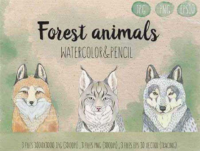 FreePsdVn.com VECTOR 1701150 set of 3 forest animals 515788 cover