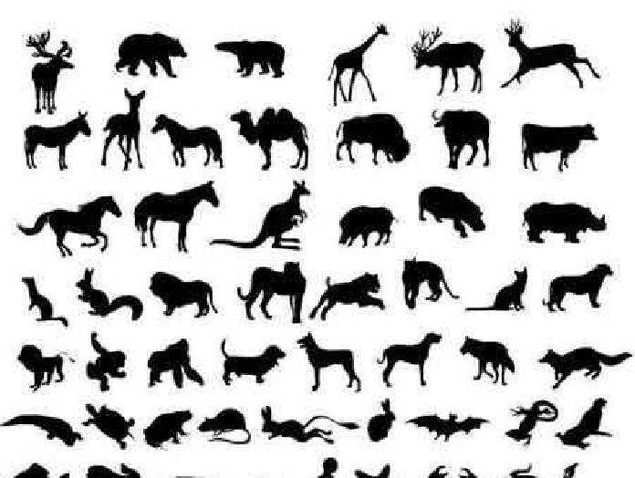 Freepsdvn.com Vector 1701174 Vector Silhouettes Of Animals 6 Eps Cover