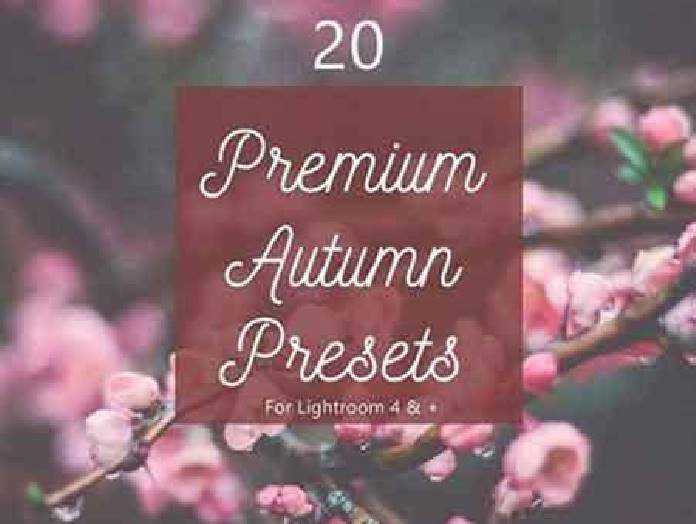 FreePsdVn.com 1702309 LIGHTROOM pack 20 premium autumn fall presets 1167716 cover
