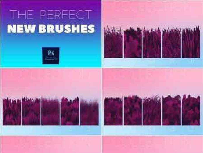 FreePsdVn.com 1702447 PHOTOSHOP the perfect new brushes 1201262 cover