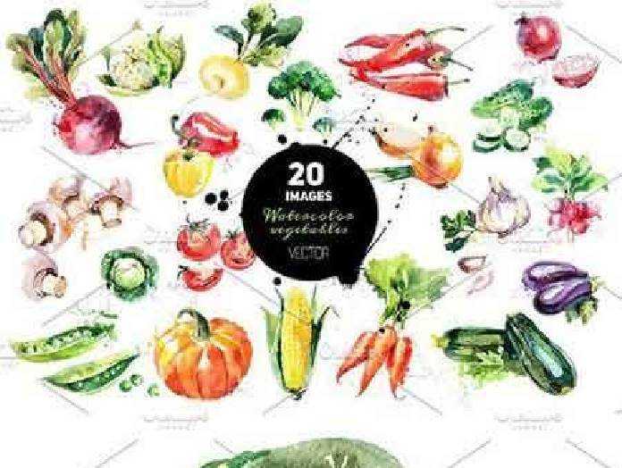 1702498 20 Watercolor Vegetables Vector 101100