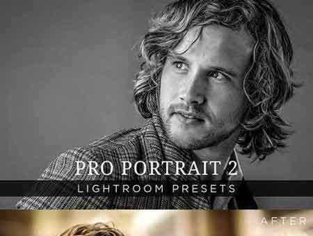 1703119 Pro Portrait Lightroom Presets Vol 2 200120