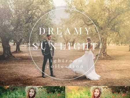 FreePsdVn.com 1705016 LIGHTROOM dreamy sunlight collection for lr 1303664 cover