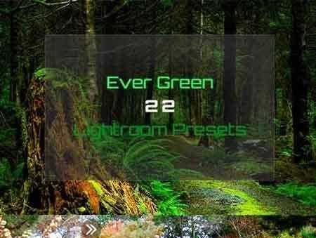 1703297 Ever Green 22 Lightroom Presets 19879338
