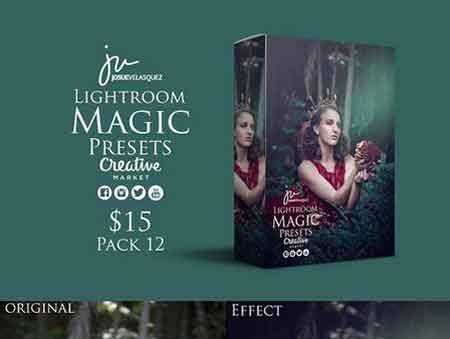 FreePsdVn.com 1704030 LIGHTROOM lightroom magic presets 1585371 cover