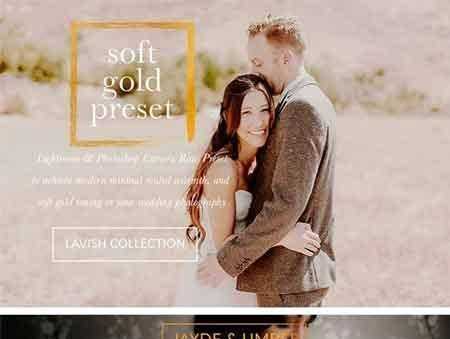 FreePsdVn.com 1704051 LIGHTROOM soft gold wedding presets 1527698 cover