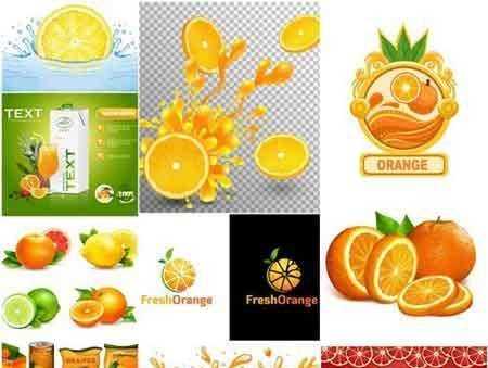 FreePsdVn.com 1704131 VECTOR fresh citrus design elements cover