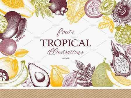 FreePsdVn.com 1704137 VECTOR tropical fruits collection 1501322 cover