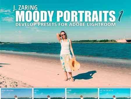 1704245 Moody Portraits 1 Lightroom Presets 1710068