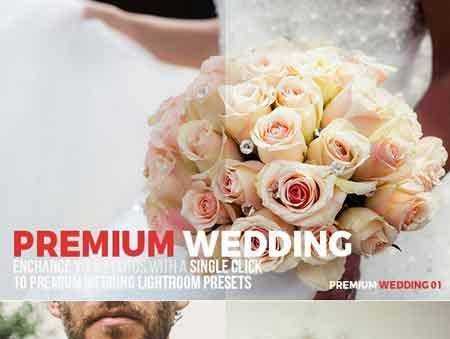FreePsdVn.com 1706025 LIGHTROOM 10 premium wedding lightroom presets 20599287 cover
