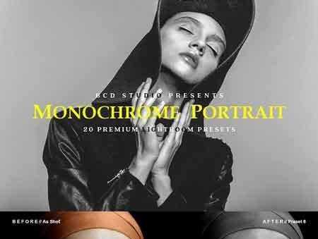 FreePsdVn.com 1706052 LIGHTROOM monochrome portrait lr presets 1848312 cover