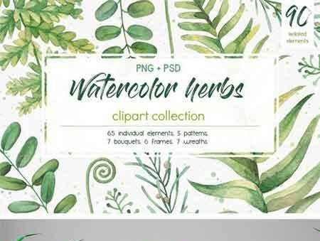 FreePsdVn.com 1706094 STOCK watercolor herbs clipart collection 1818264 cover