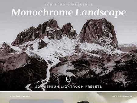 FreePsdVn.com 1706217 LIGHTROOM 20 monochrome landscape lr presets 1835016 cover