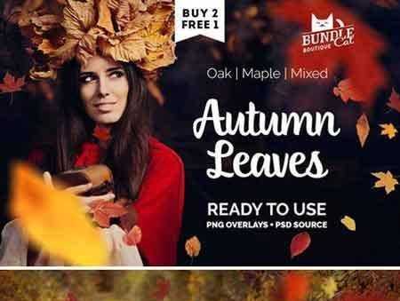 FreePsdVn.com 1706232 PHOTOSHOP autumn leaves photo overlay 1870503 cover