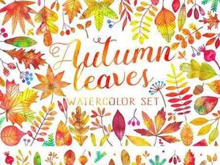 FreePsdVn.com 1706253 STOCK watercolor autumn fall leaves 1853039 cover