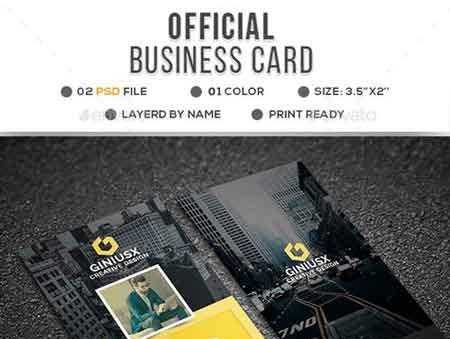 1706263 Official Corporate Business Card 20766864