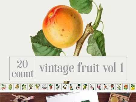 FreePsdVn.com 1707020 STOCK vintage fruit bundle vol1 1880678 cover