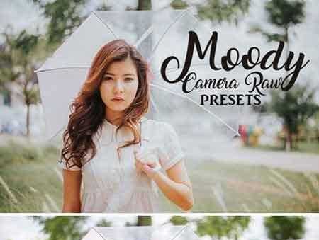 Freepsdvn.com 1707082 Lightroom Camera Raw Preset Collection 1941088 Cover