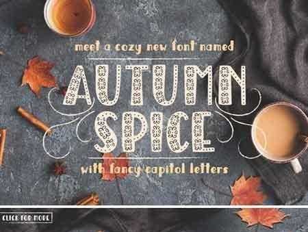 FreePsdVn.com 1707097 FONT autumn spice display san serif font 1953903 cover