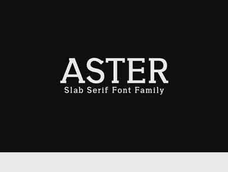 FreePsdVn.com 1707182 FONT aster slab serif font family 1391080 cover