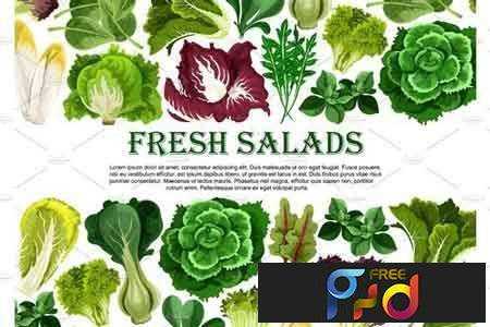 FreePsdVn.com 1707212 VECTOR salad leaf vegetable greens banner border design 1956132