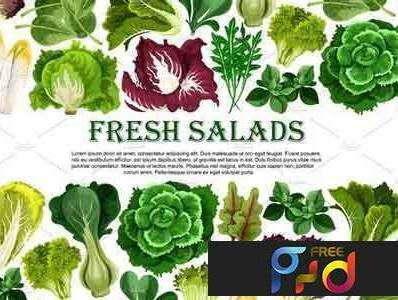 FreePsdVn.com 1707212 VECTOR salad leaf vegetable greens banner border design 1956132 cover