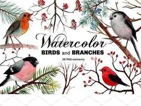 FreePsdVn.com 1801038 STOCK watercolor birds and branches 2111080 cover