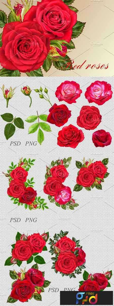 FreePsdVn.com 1802134 STOCK collection of red roses 2246244