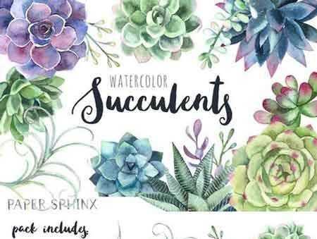 1802293 Watercolor Succulents Clipart 2205008 - FreePSDvn