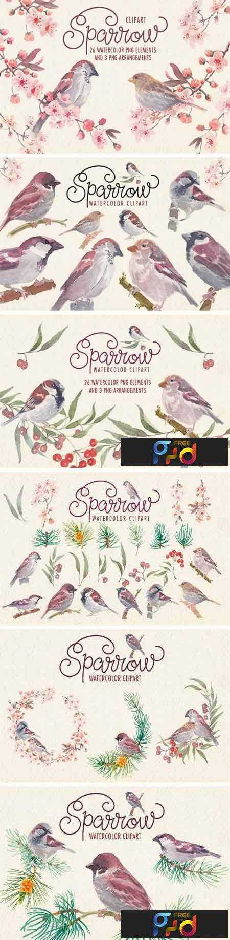 FreePsdVn.com 1803196 STOCK sparrow bird watercolor clipart 2248520