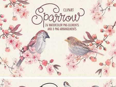 FreePsdVn.com 1803196 STOCK sparrow bird watercolor clipart 2248520 cover