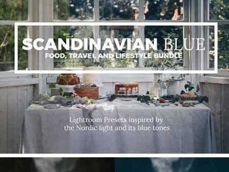 FreePsdVn.com 1803252 LIGHTROOM scandinavian blue lightroom presets 2297047 cover