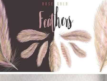 FreePsdVn.com 1804081 STOCK rose gold blush feathers 2092722 cover