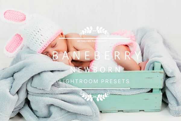 FreePsdVn.com 1806266 LIGHTROOM baneberry newborn lightroom presets 2536317 cover