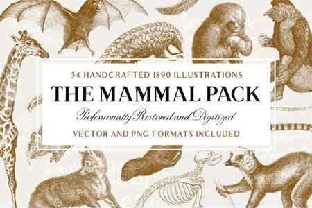 FreePsdVn.com 1807090 VECTOR 54 handcrafted mammal illustrations 2511172 cover