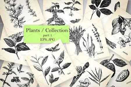 FreePsdVn.com 1808208 VECTOR plants collection 2544631 cover