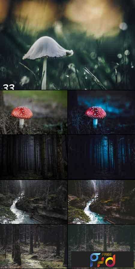 33 Magic Forest Lightroom Presets