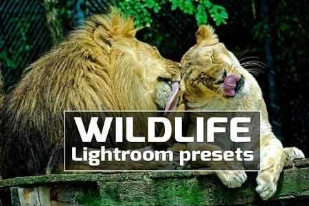 Freepsdvn.com 1811234 Lightroom Wildlife Lightroom Presets 2538578 Cover