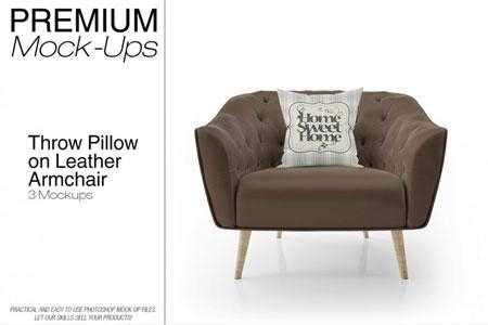 1811269 Throw Pillow on Leather Armchair Set 3482284