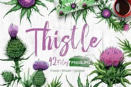 FreePsdVn.com 1811291 STOCK thistle flowers png watercolor set 1984339 cover